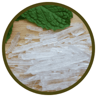 Hoạt Chất Menthol Dược Tính và Ứng Dụng Của Tinh Dầu Bạc Hà