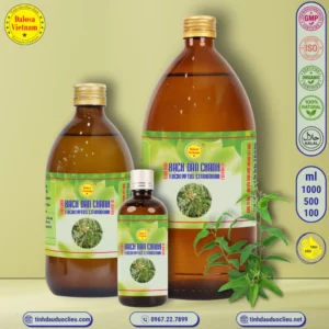 tinh dau bach dan chanh – eucalyptus citriodora essential oil