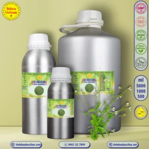 Tinh Dầu Cỏ Roi Ngựa - Lippia Origanoides Essential Oil