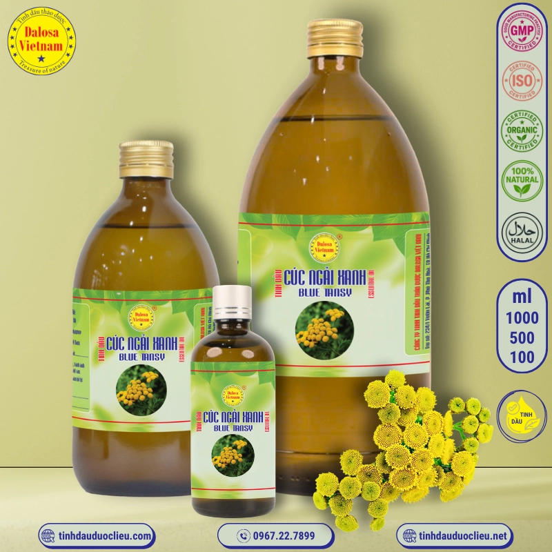 Tinh Dầu Cúc Ngải Xanh - Blue Tansy Essential Oil 1 tinh dau cuc ngai xanh – blue tansy essential oil