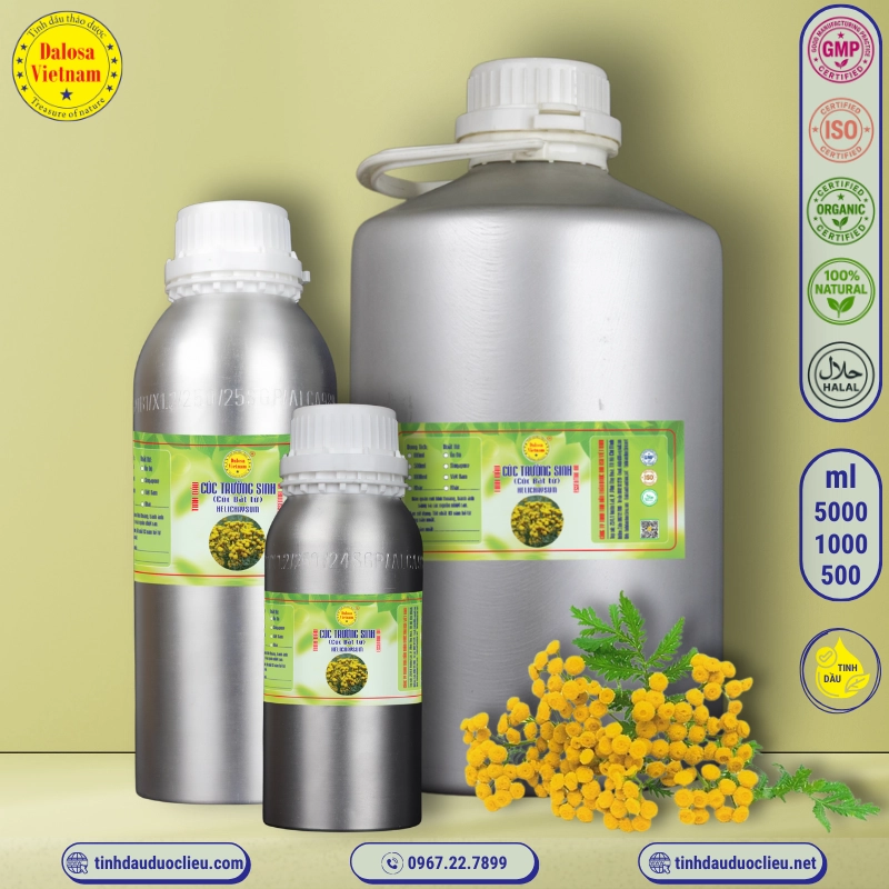 Tinh Dầu Cúc Trường Sinh - Helichrysum Essential Oil 1 tinh dau cuc truong sinh cuc bat tu – helichrysum essential oil 2