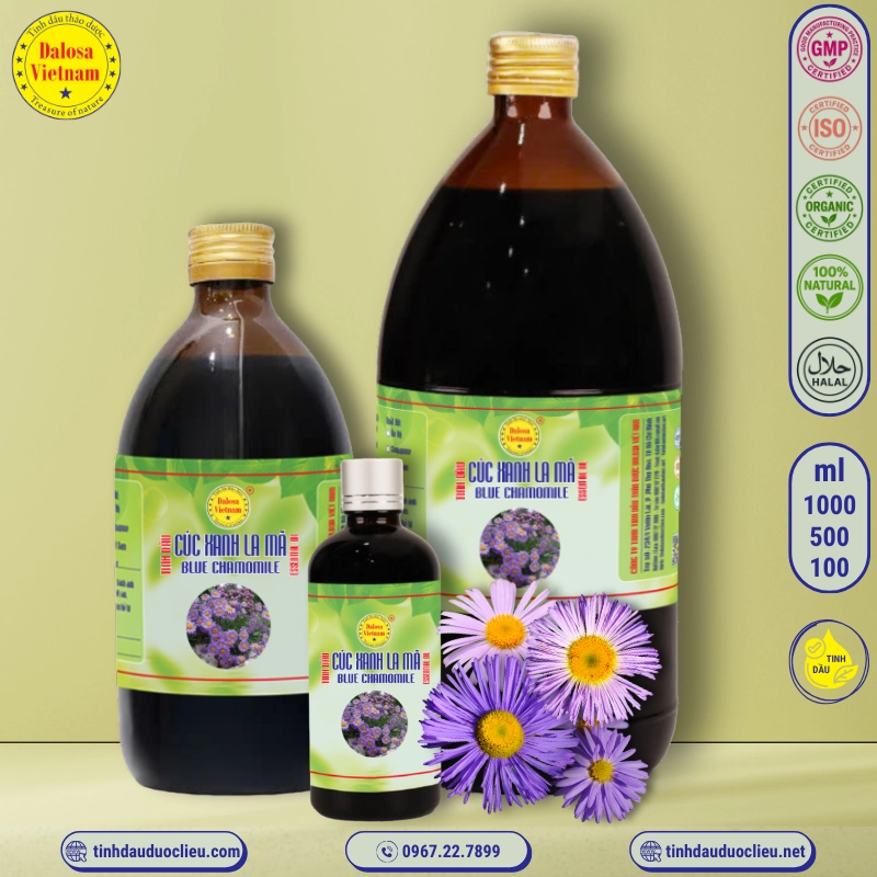 Tinh Dầu Hoa Cúc Xanh - Blue Chamomile Essential Oil 1 tinh dau cuc xanh la ma hoa cuc xanh – blue chamomile essential oil