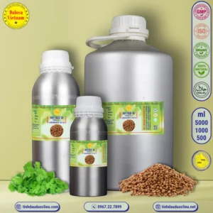 tinh dau hat ngo ta mui ta – coriander essential oil 2