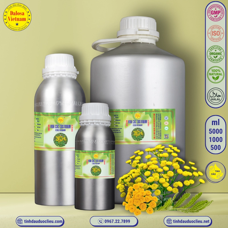 Tinh Dầu Hoa Cúc Costmary - Costmary Essential Oil 1 tinh dau hoa cuc costmary costmary alecost balsam herb costmarie bible leaf alecoast costus sweet mary essential oil 2