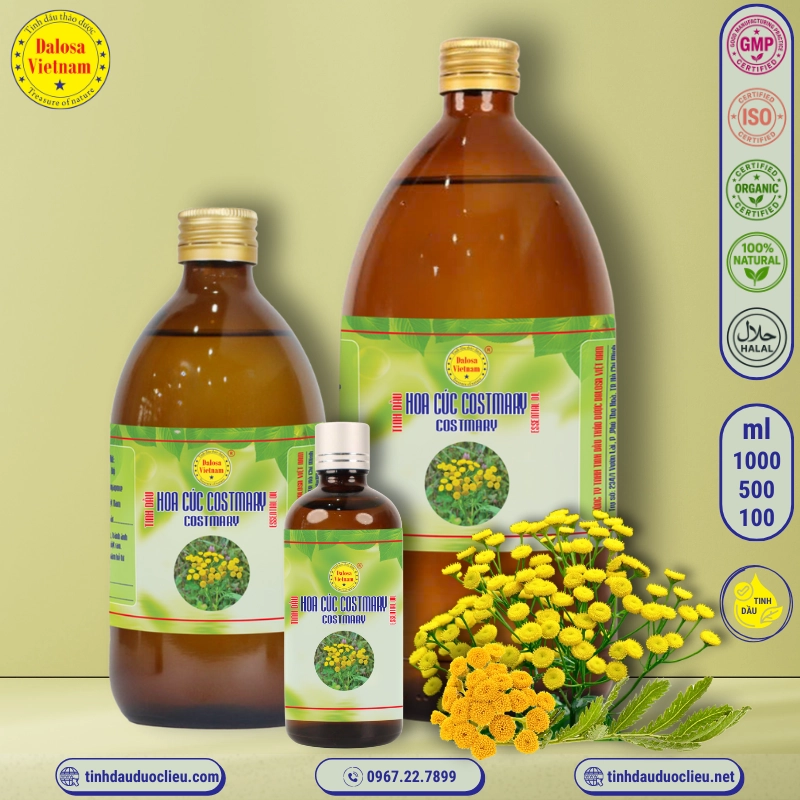 Tinh Dầu Hoa Cúc Costmary - Costmary Essential Oil 2 tinh dau hoa cuc costmary costmary alecost balsam herb costmarie bible leaf alecoast costus sweet mary essential oil