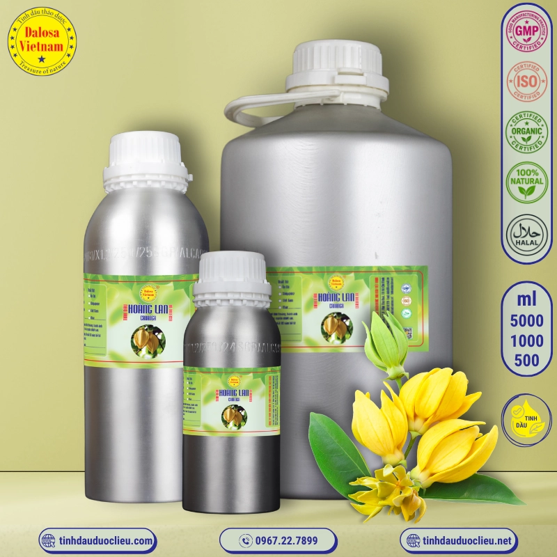 Tinh Dầu Hoàng Lan - Cananga Essential Oil 1 tinh dau hoang lan cananga cananga odorata essential oil 2
