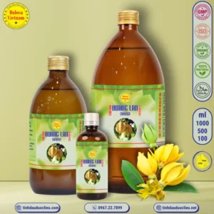 Tinh Dầu Hoàng Lan - Cananga Essential Oil 3 tinh dau hoang lan cananga cananga odorata essential oil
