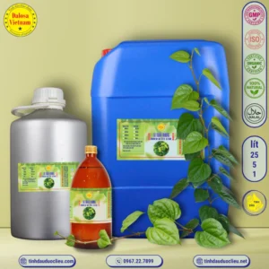 tinh dau la trau khong piper betle leaf piper betel essential oil 3