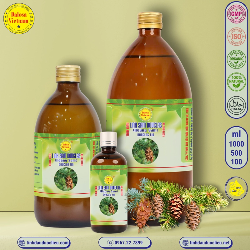 Tinh Dầu Linh Sam Hoàng Sam - Douglas Fir Essential Oil 2 tinh dau linh sam douglas linh sam hoang sam douglas fir pseudotsuga menziesii essential oil