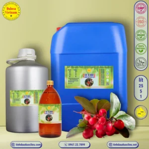 tinh dau loc de xanh chau thu winter green gandhapura gaultheria procumben essential oil 3