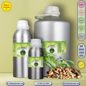 Tinh Dầu Long Não - Rã Hương - Camphor Essential Oil 5 tinh dau long nao da huong ra huong camphor ho cinnamonum camphors essential oil 2 1