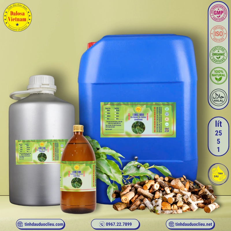 Tinh Dầu Long Não - Rã Hương - Camphor Essential Oil 1 tinh dau long nao da huong ra huong camphor ho cinnamonum camphors essential oil 3 1