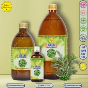 tinh dau ngai cuu thuoc cuu armoise artemisia mugwort artemisi vulgaris essential oil