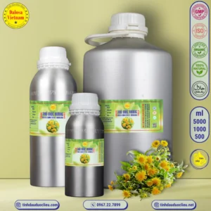 Tinh Dầu Thổ Mộc Hương Odorous Inula Essential Oil 3 tinh dau tho moc huong odorous inula essential oil 2