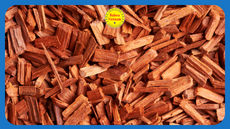 Tinh dầu Gỗ đàn hương, Dalosa Việt Nam