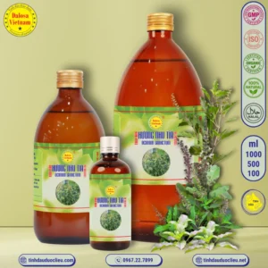 Tinh Dầu Hương Nhu Tía - Ocimum sanctum Essential Oil