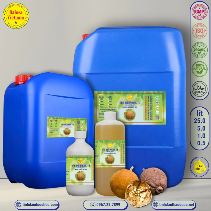 Dầu Đại Phong Tử - Chùm Bao - Chaulmoogra Oil 1 Dầu Đại Phong Tử – Chùm Bao – Chaulmoogra Oil