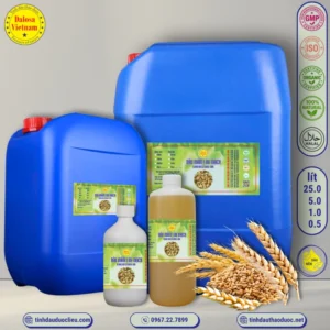 Dầu Mầm Lúa Mạch – Wheatgerm Oil